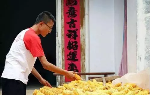 大媽上山砍竹子曬衣服,發現竹子「十分奇特」,帶回家兒子跳起來大喊:我們家要發財了