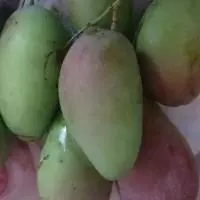 腌芒果酸酸甜甜,其中夾雜著一絲絲辣,很開胃