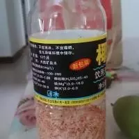 腌芒果酸酸甜甜,其中夾雜著一絲絲辣,很開胃