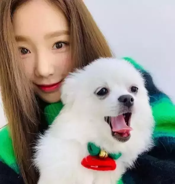 盤點韓娛圈那些即使不刻意裝可愛,也萌到不行的嬌小愛豆!