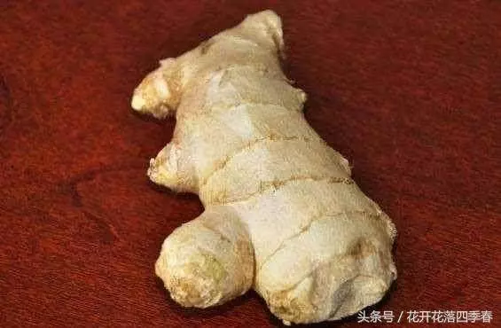 枕頭下放2塊生薑,原來有這麼多好處,看完你就知道了