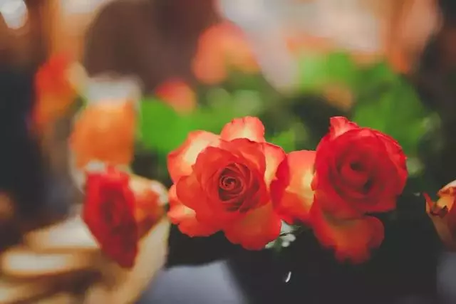 你屬什麼生肖,2019年就走什麼運!實在是旺到家了