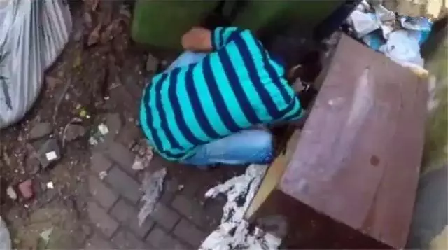 流浪狗母親跟隨路人,乞求發善心救助幼犬,眾人合力為它建新家!