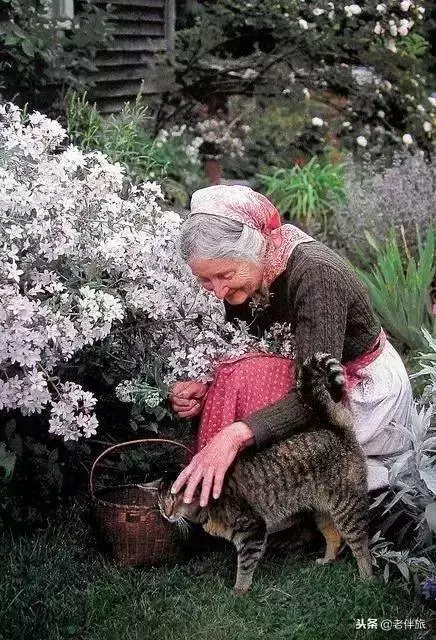 人生後半場,富養子孫不如富養自己!人生大智慧!