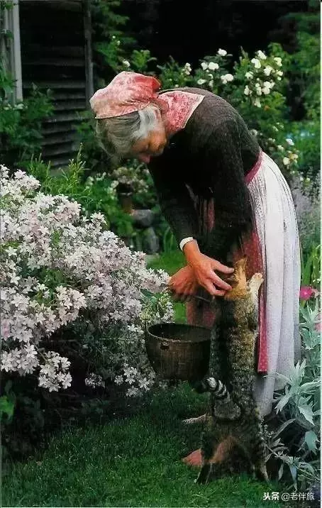 人生後半場,富養子孫不如富養自己!人生大智慧!
