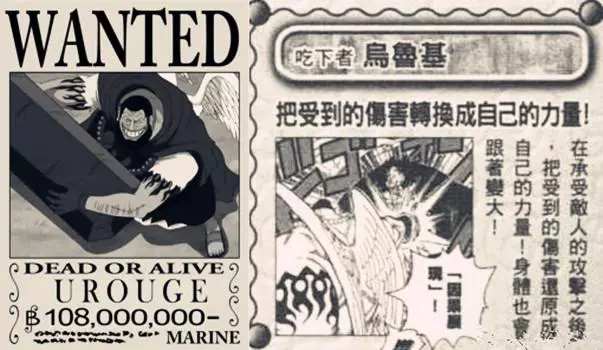 海賊王:尾田公開烏爾基因果果實秘密,一拳打爆將星,四皇都慫了