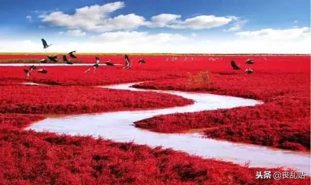 老外都說中國這35個地方是最美旅行地