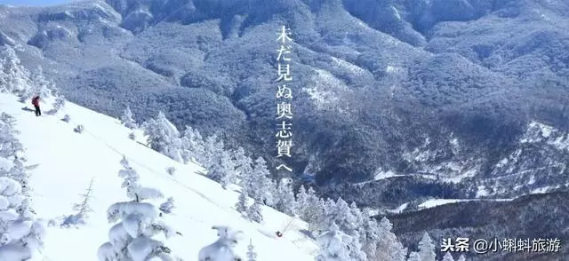 日本自由行最新遊玩攻略-日本小眾旅行目的地及玩法推薦!