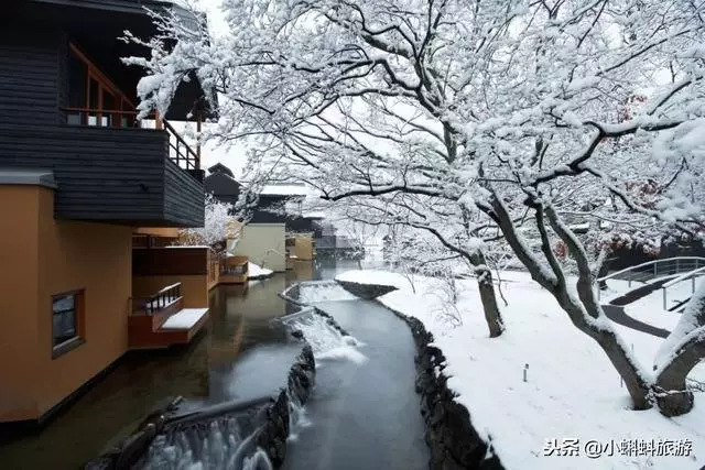 日本自由行最新遊玩攻略-日本小眾旅行目的地及玩法推薦!