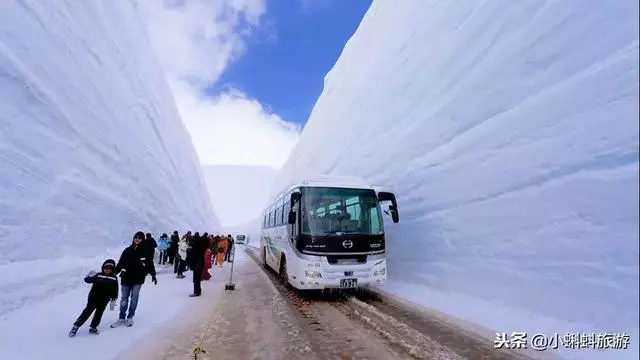 日本自由行最新遊玩攻略-日本小眾旅行目的地及玩法推薦!