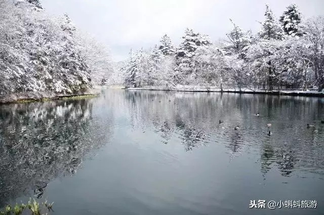 日本自由行最新遊玩攻略-日本小眾旅行目的地及玩法推薦!