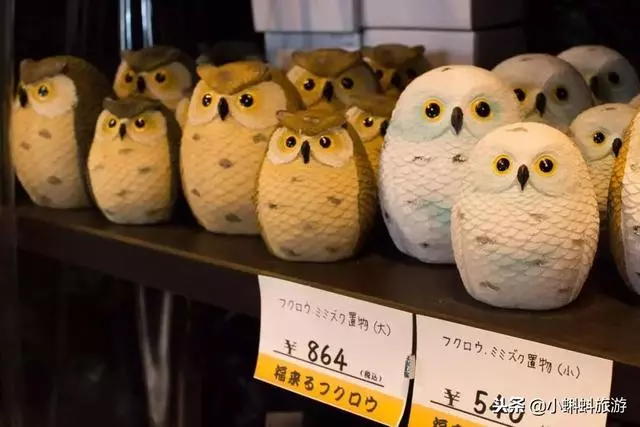 日本自由行最新遊玩攻略-日本小眾旅行目的地及玩法推薦!