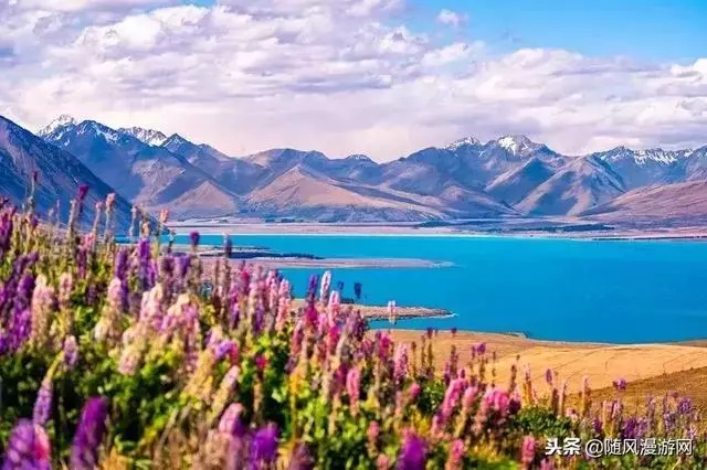 2019紐西蘭之旅,是你不能錯過的選擇!