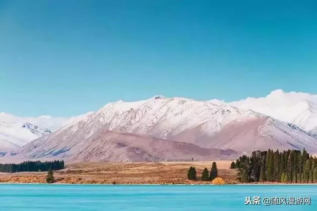 2019紐西蘭之旅,是你不能錯過的選擇!