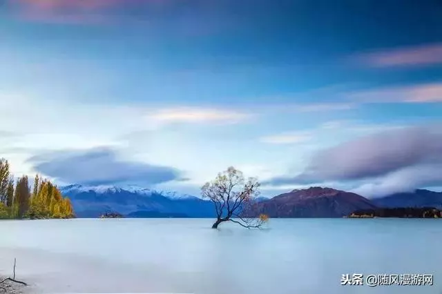 2019紐西蘭之旅,是你不能錯過的選擇!