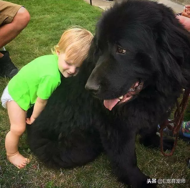 用我一生換你十年天真無邪