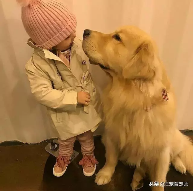 用我一生換你十年天真無邪