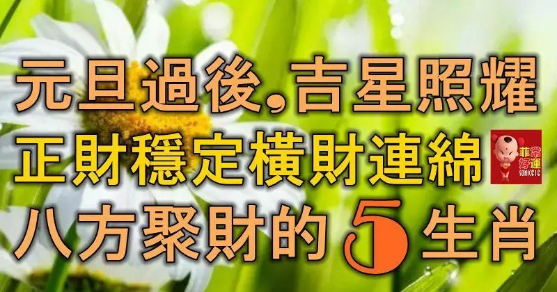 元旦過後,吉星照耀,正財穩定,橫財連綿,八方聚財的5大生肖!