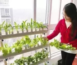 家裡這10種東西別再扔了,第一個我就後悔了,當初真不該扔!