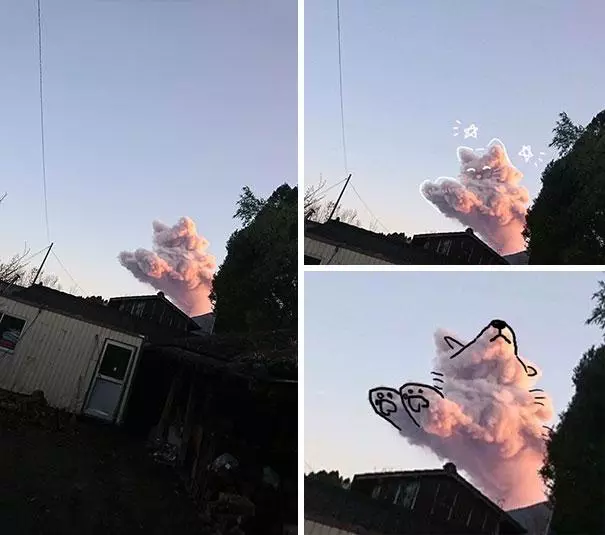 是巧合還是神蹟,這些照片具有幽默感太有意思了