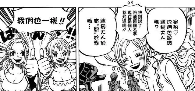《海賊王》中花魁小紫的登場其實早有伏筆,尾田不愧是伏筆狂魔!
