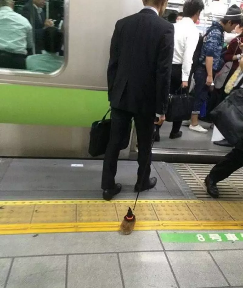 26張說明「大眾交通工具上處處有驚喜」獵奇乘客照