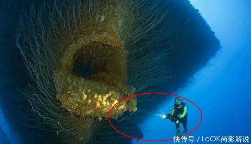 中國蛟龍號在馬裡亞納又有新發現,當照片公布後,專家都感到驚奇!