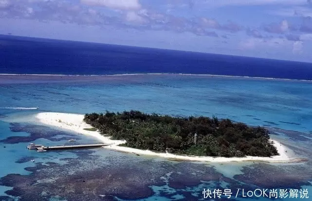 中國蛟龍號在馬裡亞納又有新發現,當照片公布後,專家都感到驚奇!
