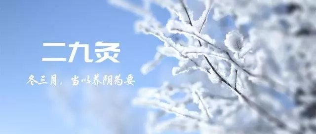 二九灸又到了,冬三月,這段時間,應該以養陰為要,早睡晚起