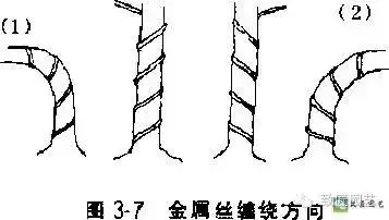 盆景造型基礎技術:這些盆景蟠紮技法你學會了嗎