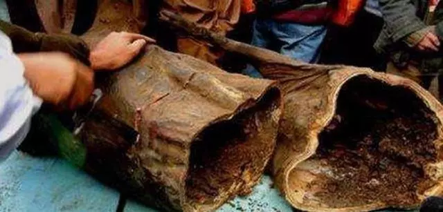 一頭豬在樑上掛30年,變成臭豬肉,別人花60萬買,主人都不願意賣