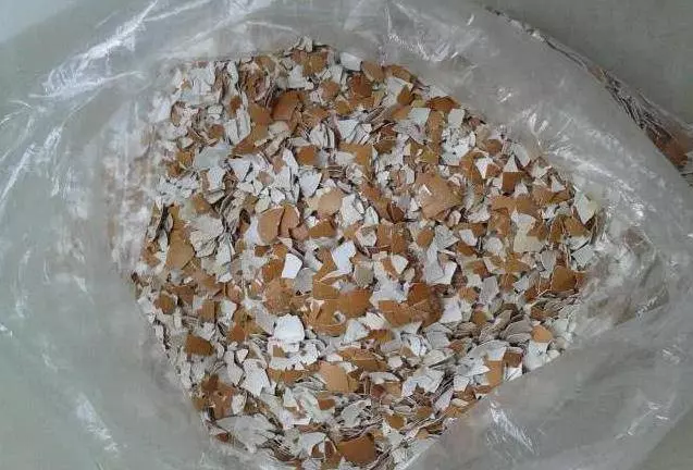 雞蛋一剝,殼就立馬扔掉?千萬別再扔了,這些年你都浪費了好幾萬塊了,很多人都需要!