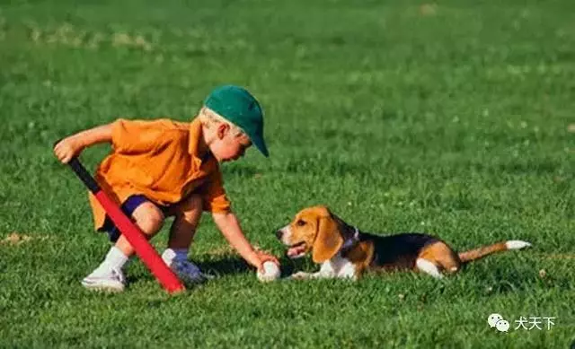 那些對孩子們最友好的「狗保姆」們