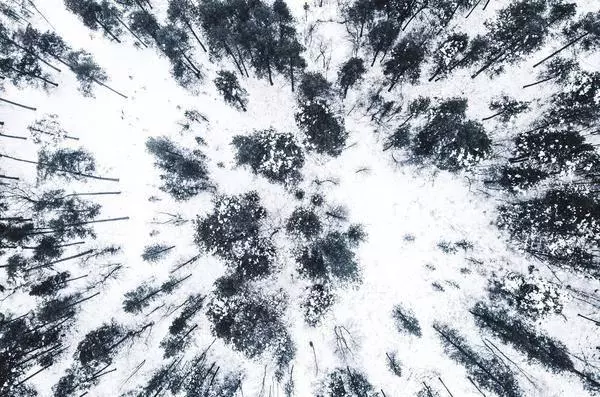走進夢幻的北歐國度:芬蘭