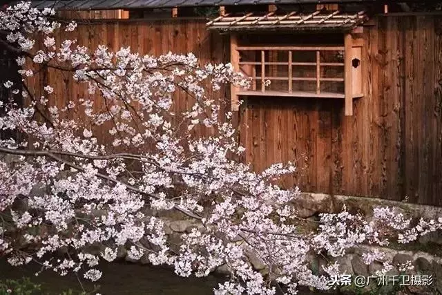 建築攝影中的 5 種構圖「絕技」