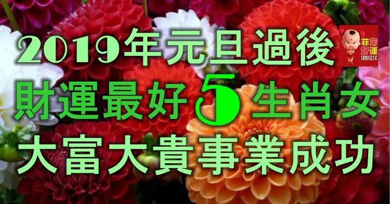 2019年元旦過後,財運最好的5大生肖女,大富大貴,事業成功!
