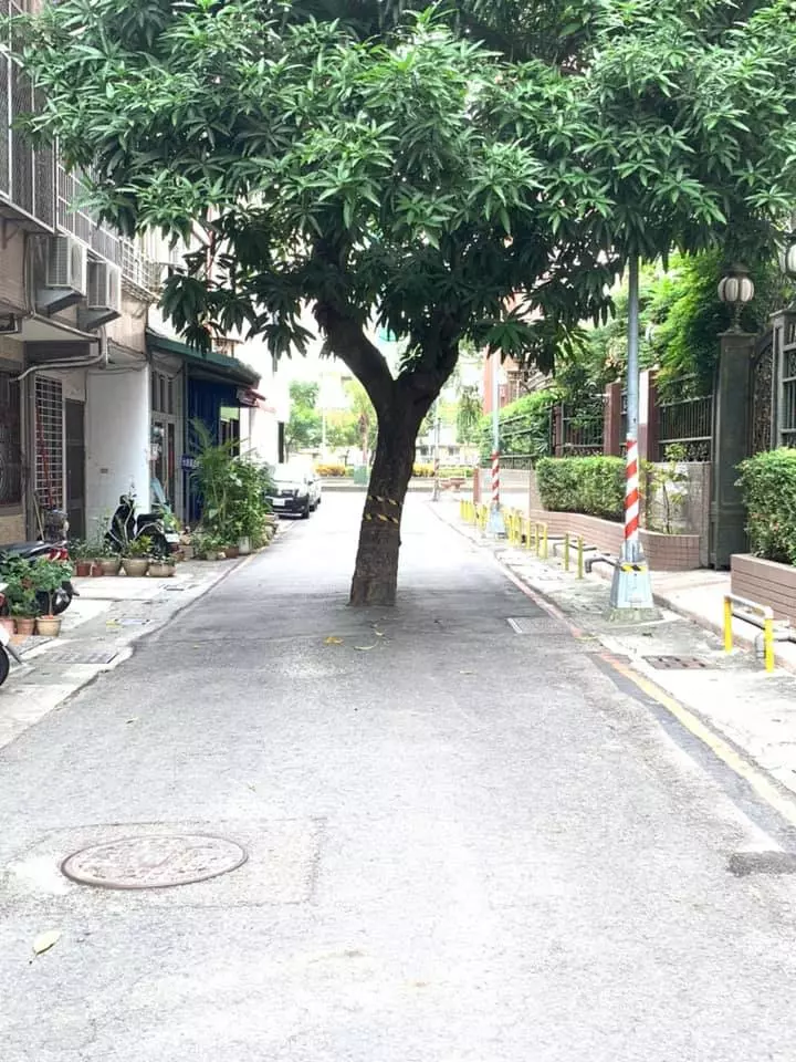 最貴路霸!高雄大樹「擋路中間20年」誰也趕不走 打電話報警「被告知要4千萬」網驚:後台很硬