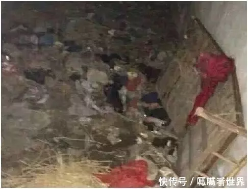 高顏值校花淪為「階下囚」,關垃圾堆5年衣不蔽體,警察:管不了 !
