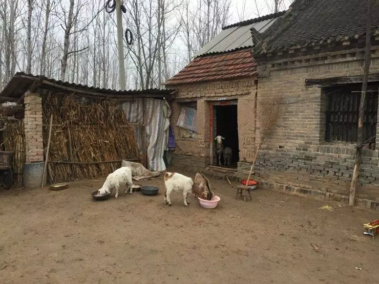 新婚夜失火,老公抱起老婆就跑,途中覺得不對,一瞧懷裡,癱地上