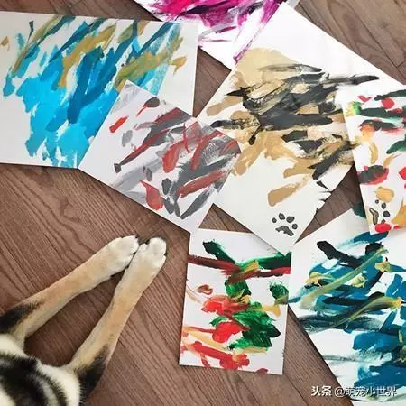 藝術柴是超厲害的抽象畫家，一幅畫賣的錢把網友嚇到：有天分