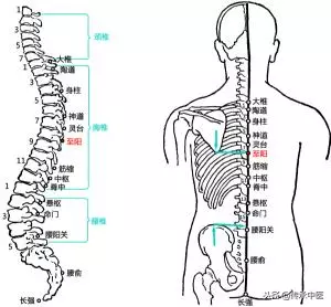 突發病痛,按揉穴位可救急
