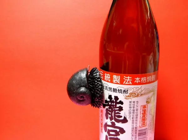 印度洋海底驚現「超怪異蝸牛」,他用手指敲擊它的殼,沒想到竟瞬間後悔了!
