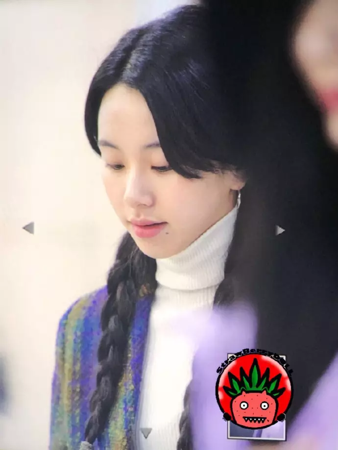 [TWICE][新聞]190101 「粉絲?感謝」屬豬愛豆TWICE林娜璉的2018年