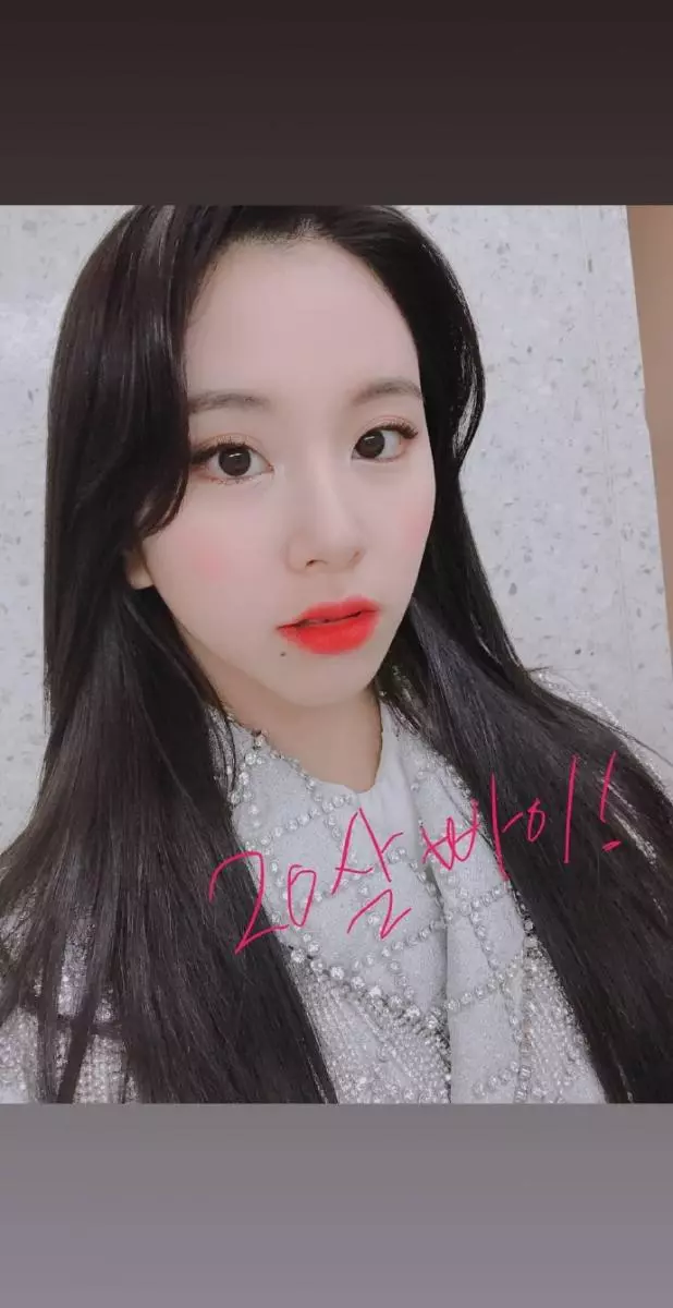 [TWICE][新聞]190101 「粉絲?感謝」屬豬愛豆TWICE林娜璉的2018年