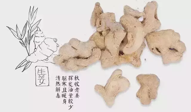 養生先養腳,冬天每天這麼泡腳,逼出體內寒濕,全身通暢百病消!