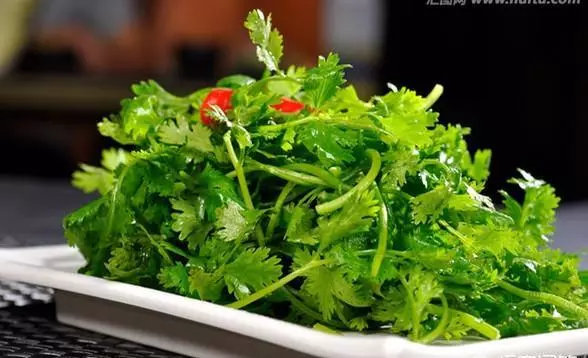 每天喝一杯水煮「香菜」,堅持下去對身體有哪些好處?