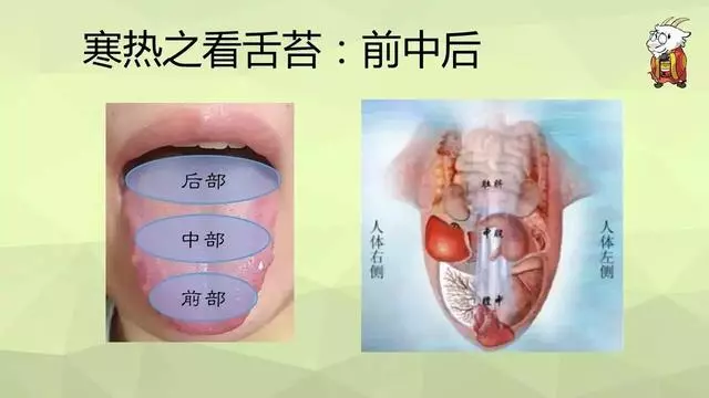 如何用艾灸調理鼻炎、寒性便秘、咳嗽、哮喘、過敏體質