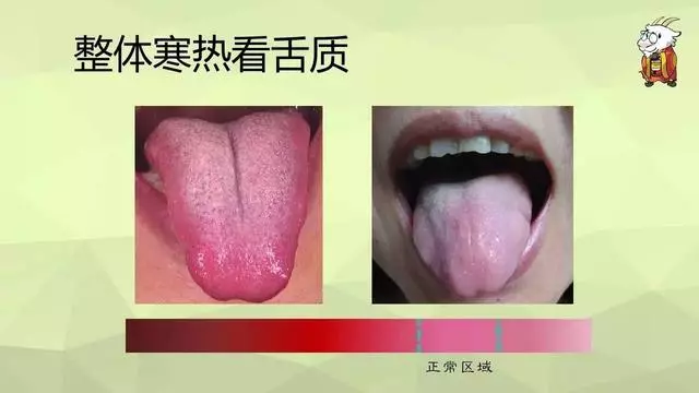 如何用艾灸調理鼻炎、寒性便秘、咳嗽、哮喘、過敏體質
