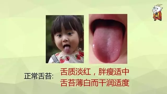 如何用艾灸調理鼻炎、寒性便秘、咳嗽、哮喘、過敏體質
