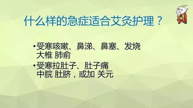 如何用艾灸調理鼻炎、寒性便秘、咳嗽、哮喘、過敏體質
